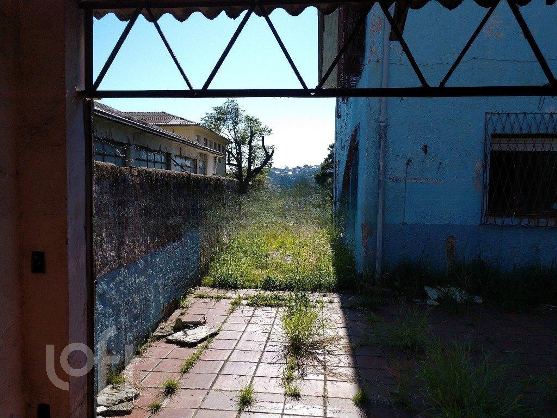 Imagem da propriedade 13