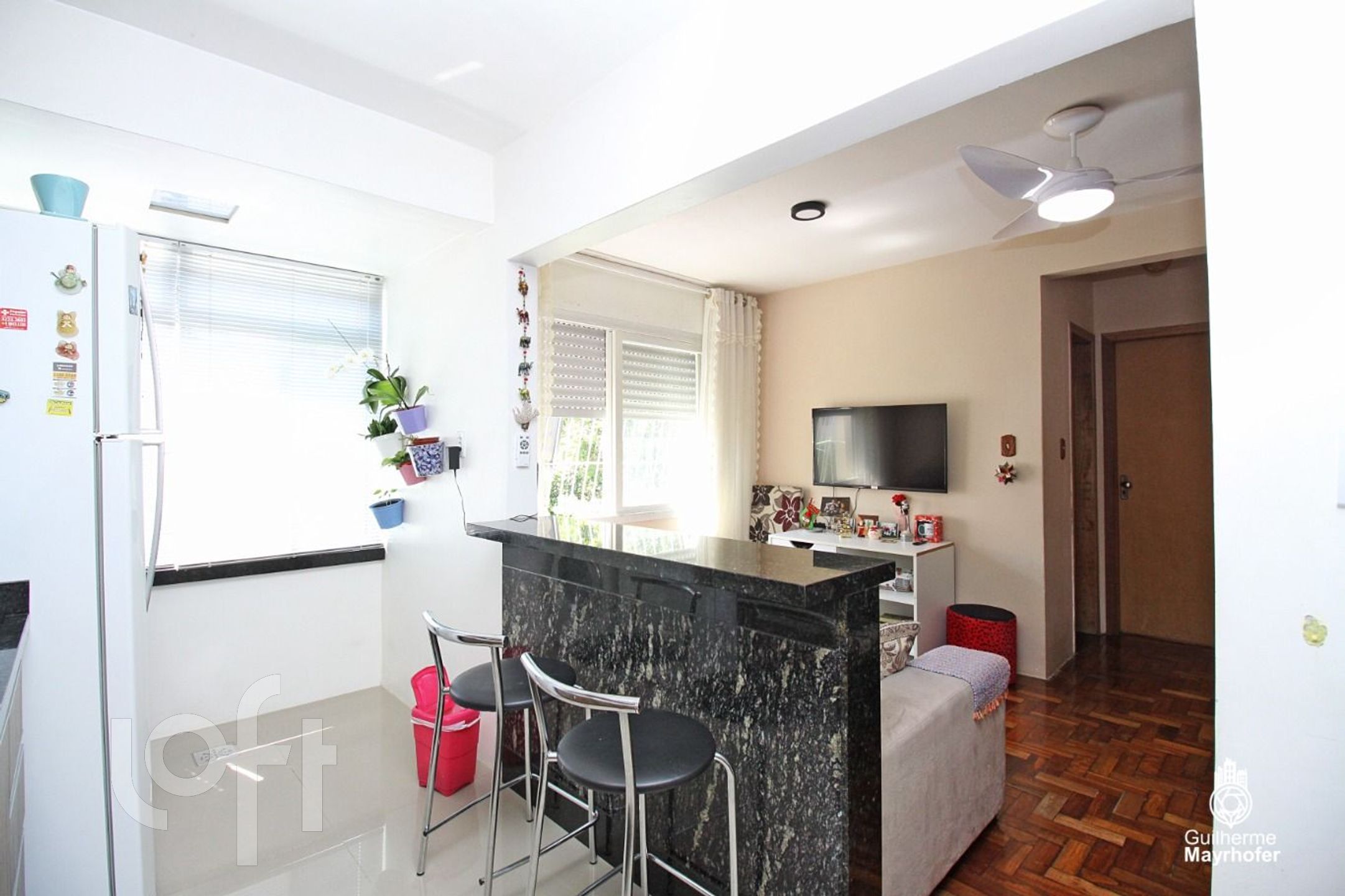 Imagem da propriedade 6