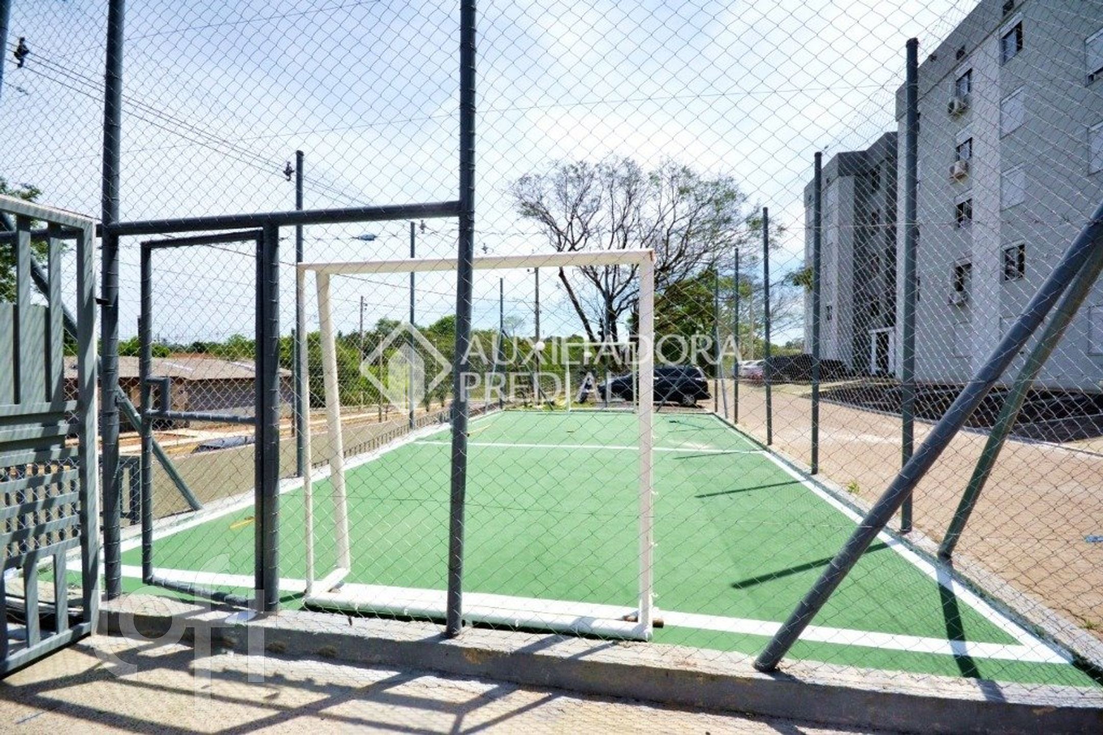 Imagem da propriedade 13