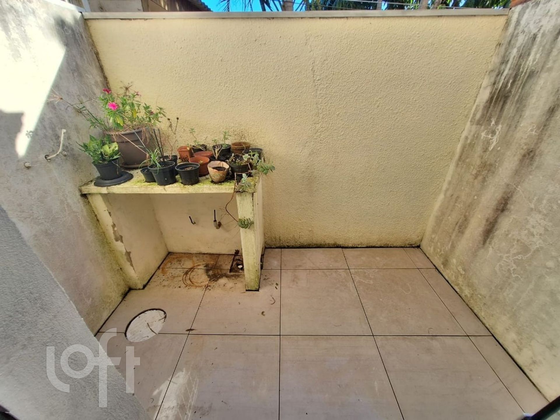 Imagem da propriedade 14