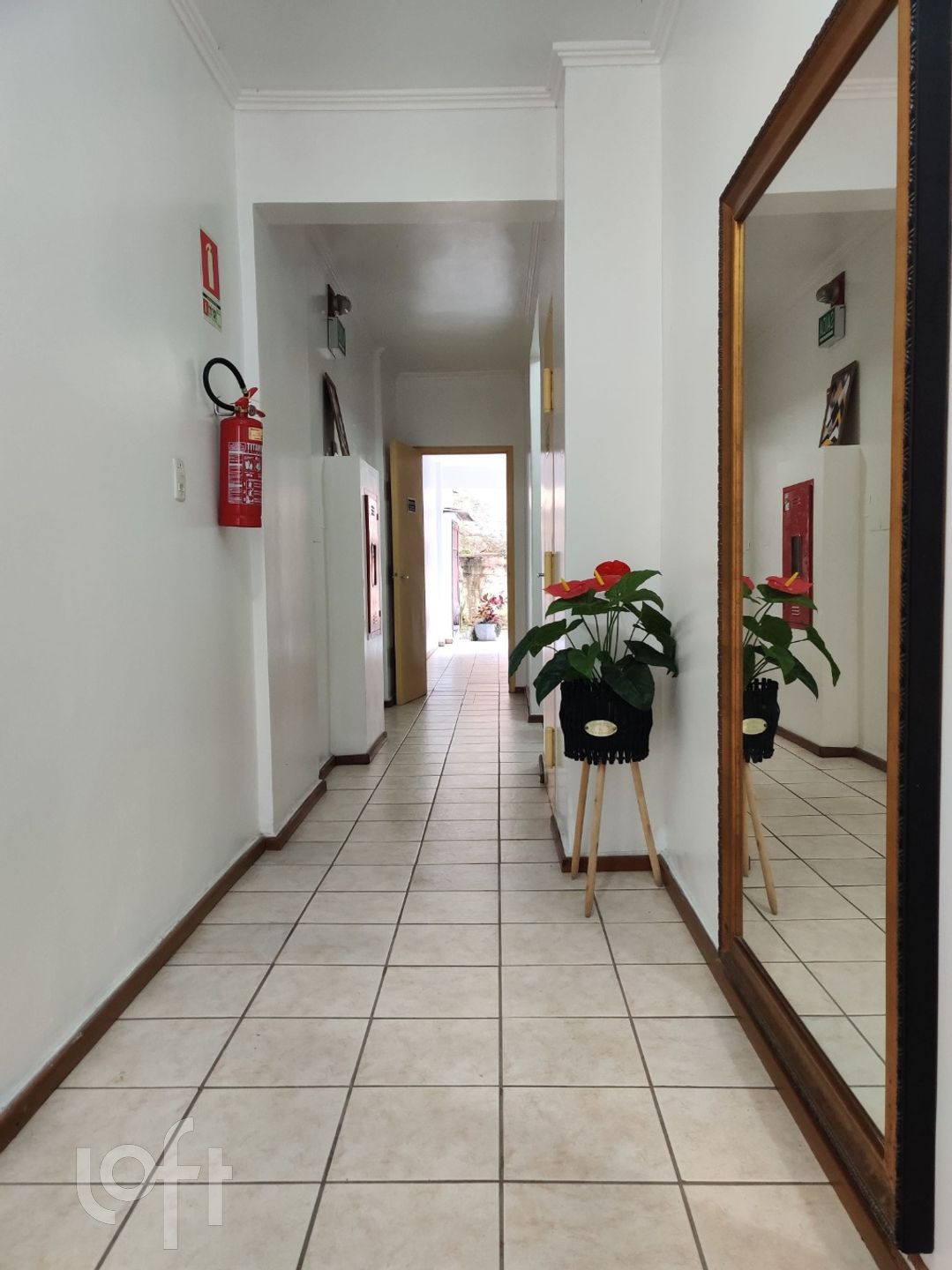 Imagem da propriedade 13