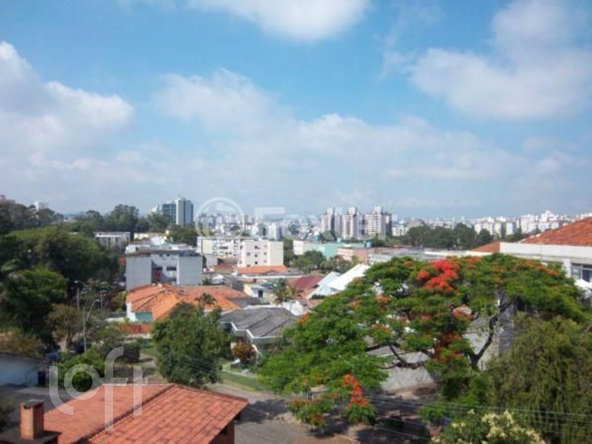 Imagem da propriedade 15