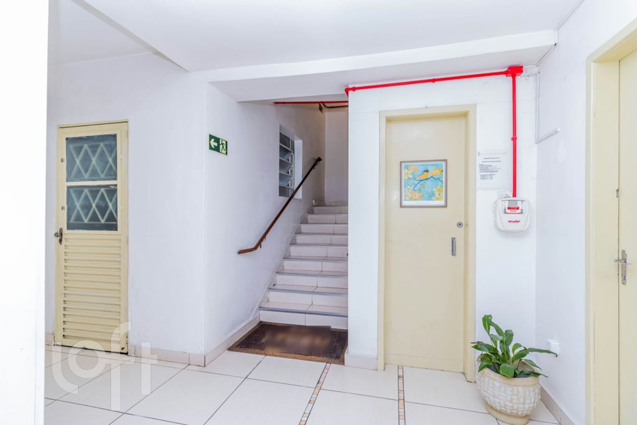 Imagem da propriedade 17