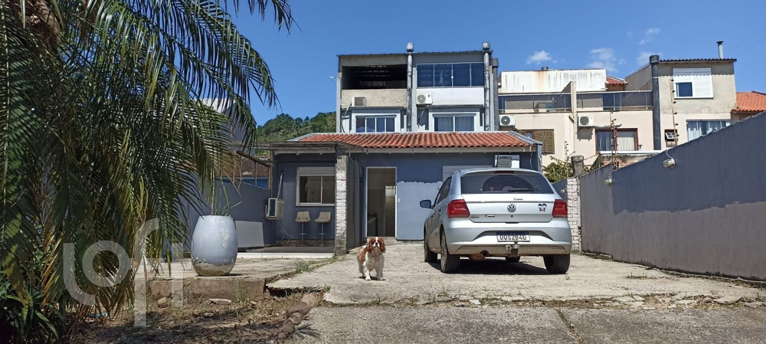 Imagem da propriedade 3