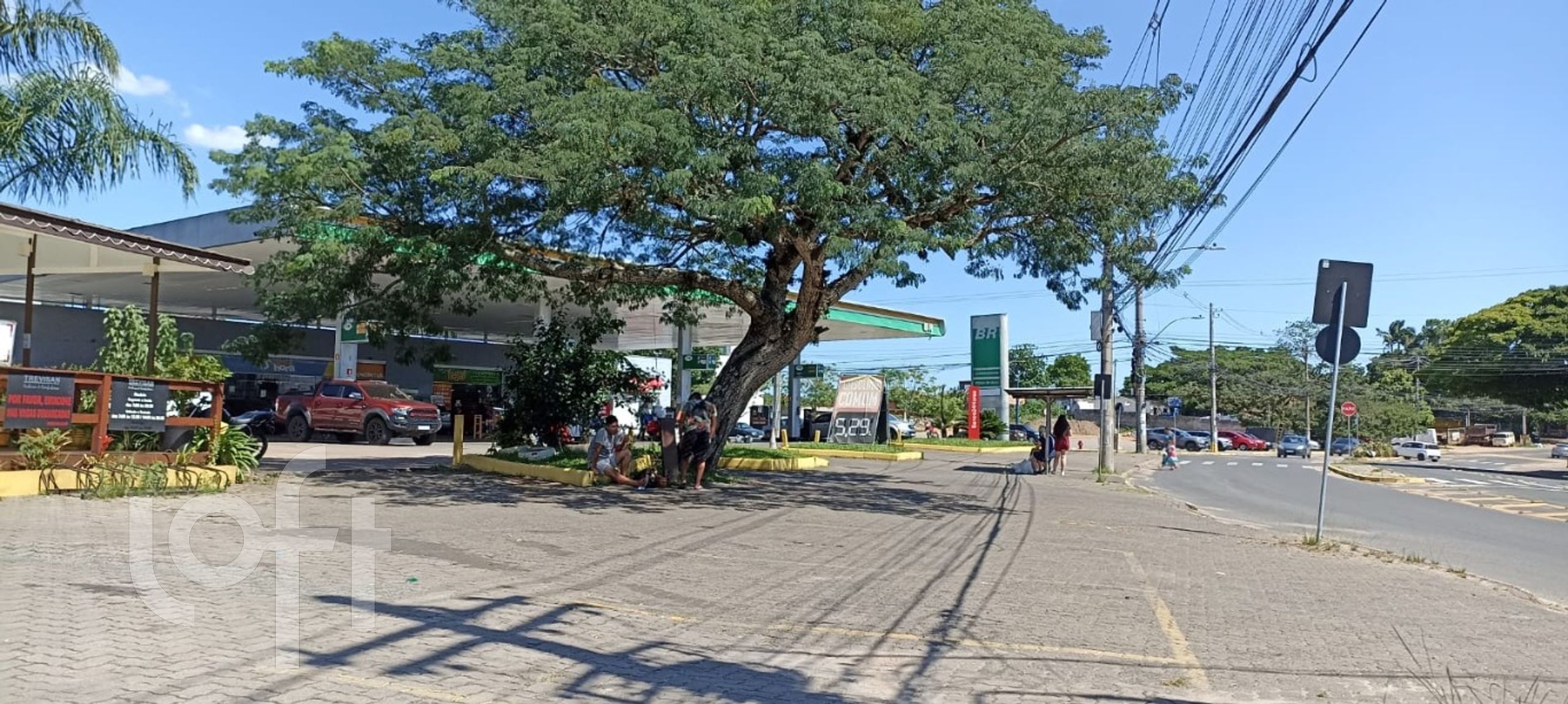 Imagem da propriedade 42