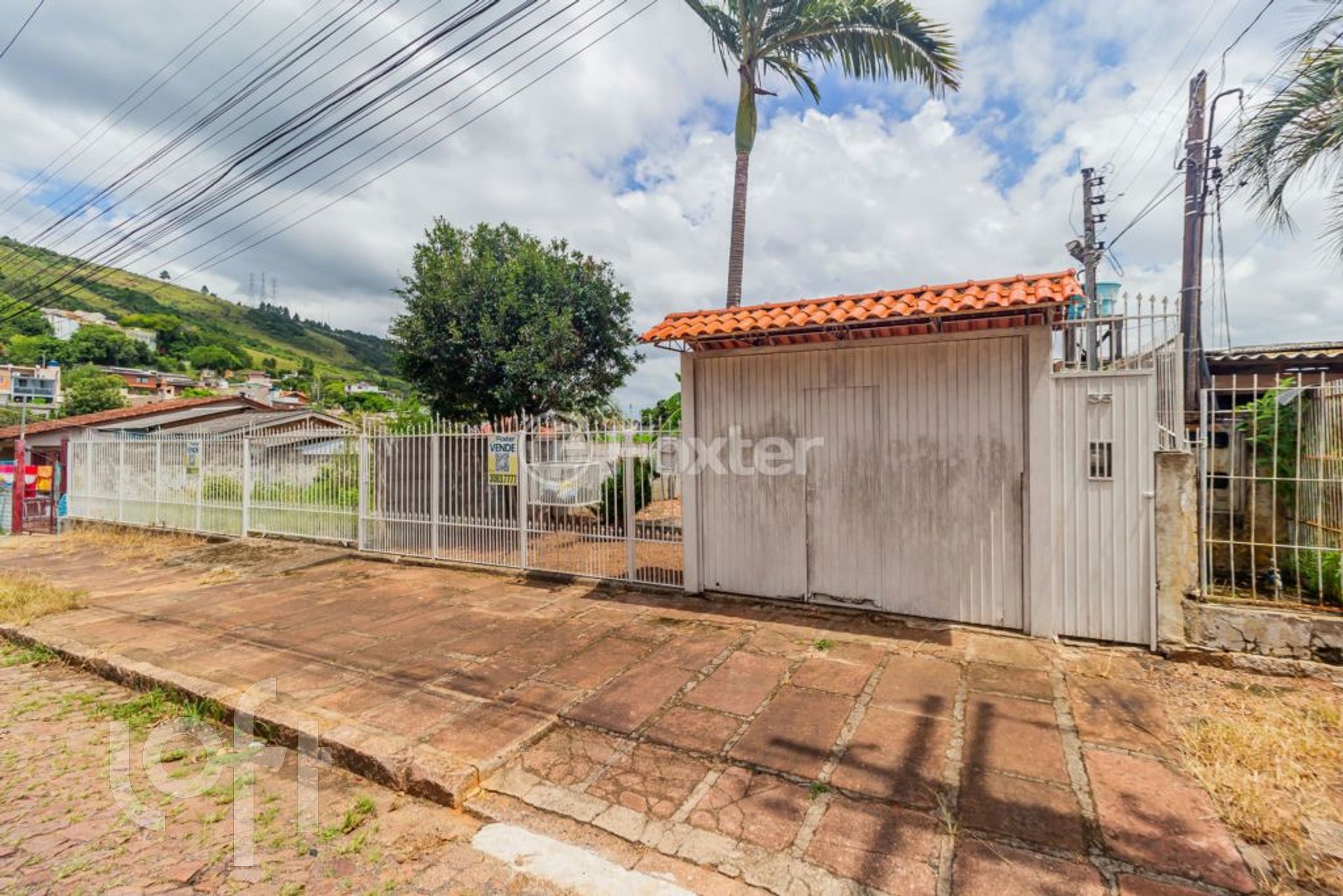 Imagem da propriedade 27