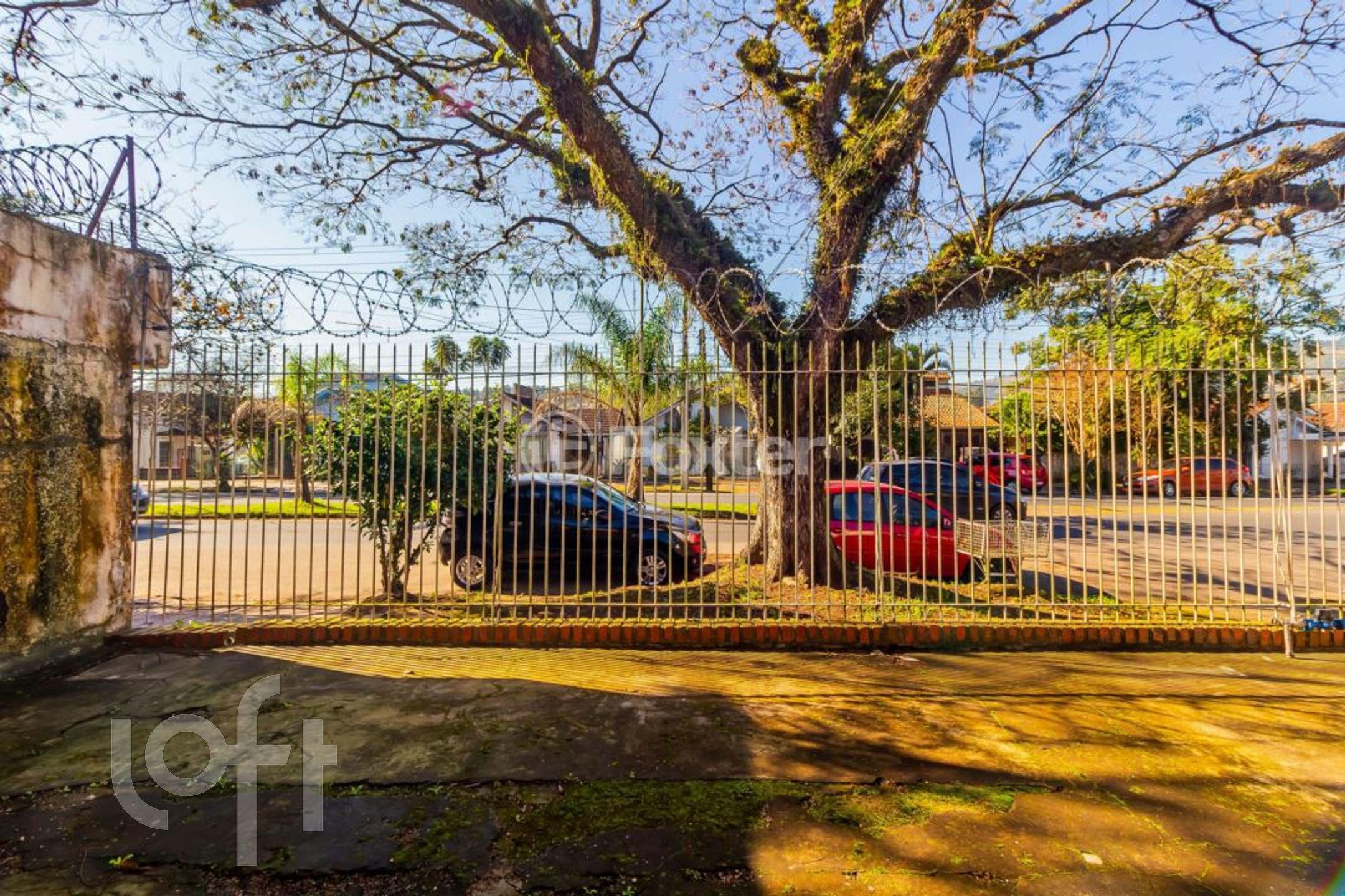 Imagem da propriedade 2