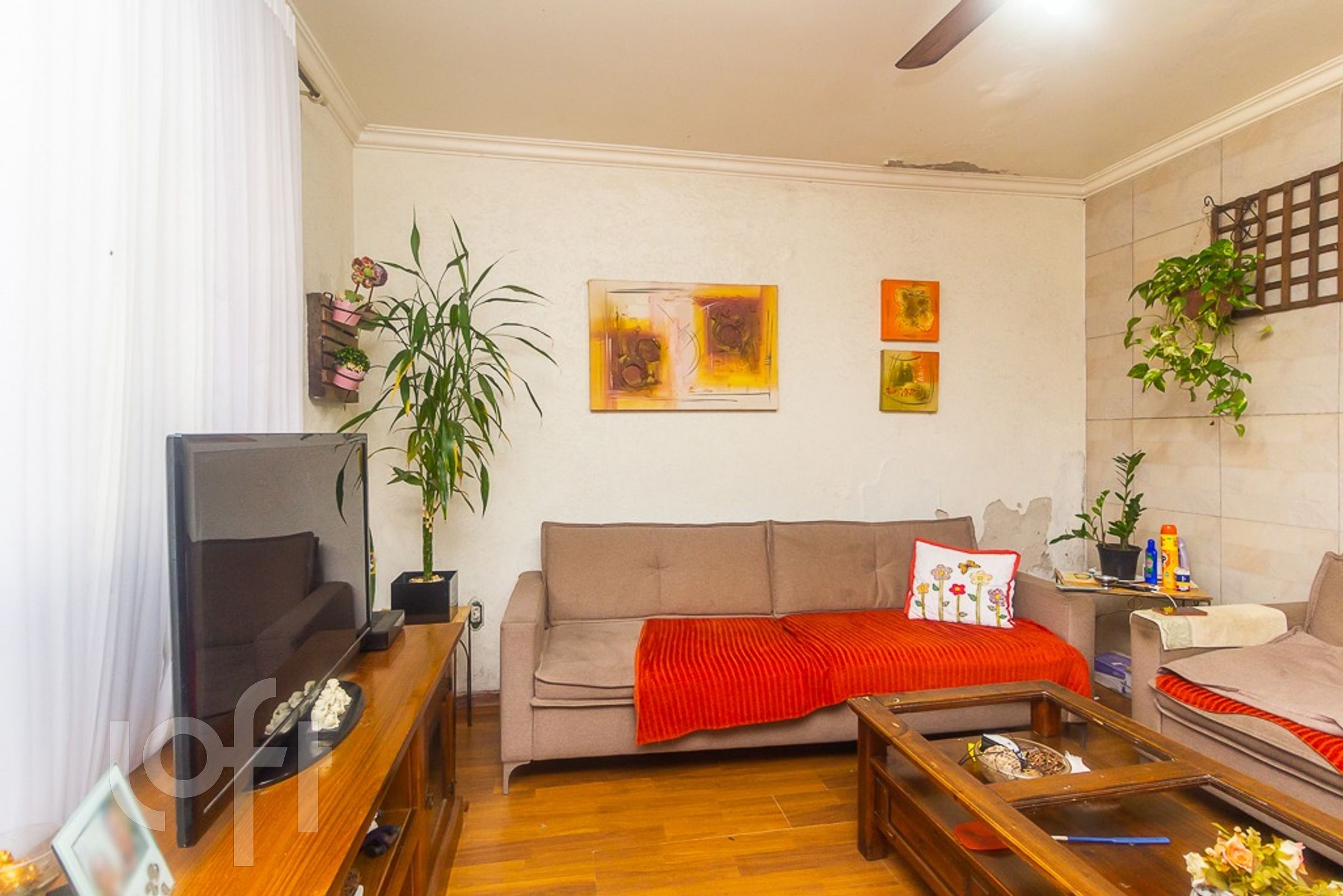 Imagem da propriedade 39