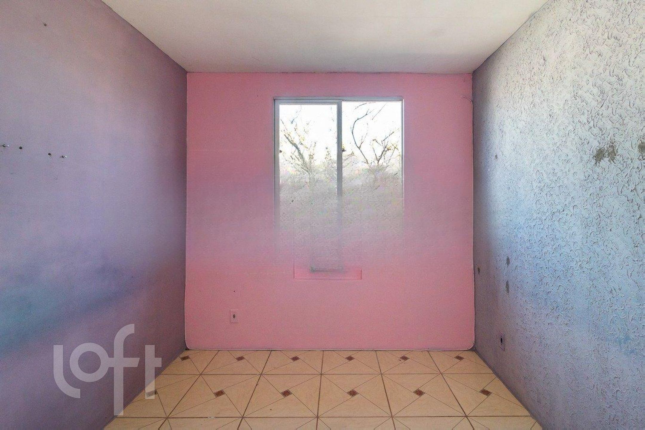 Imagem da propriedade 10