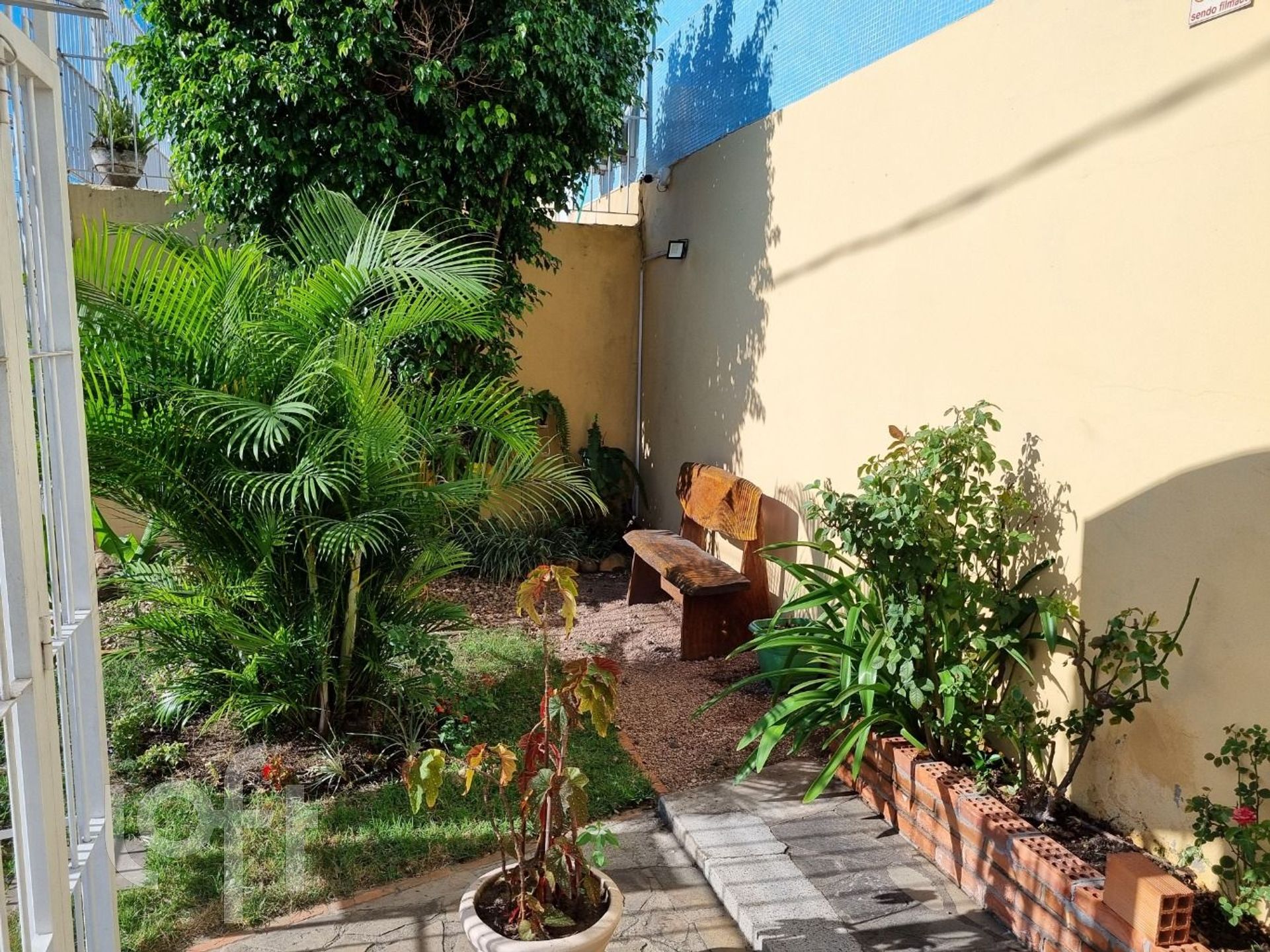 Imagem da propriedade 25