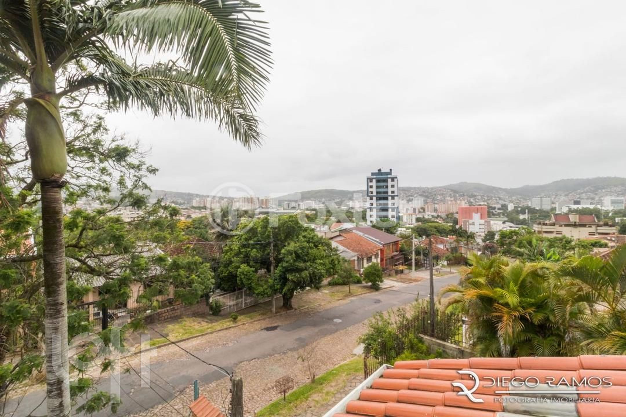 Imagem da propriedade 19