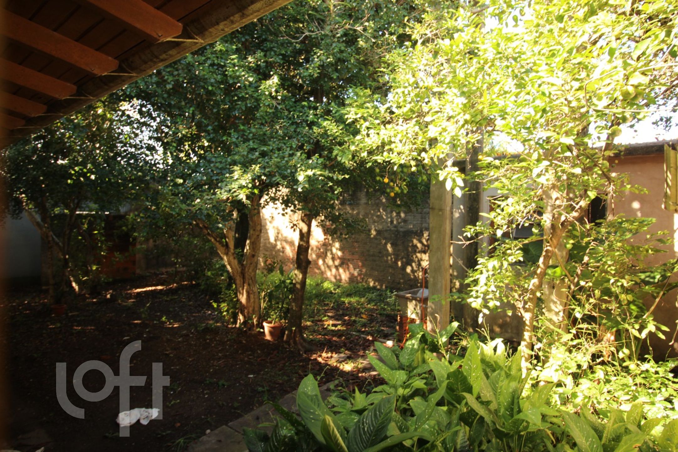 Imagem da propriedade 21