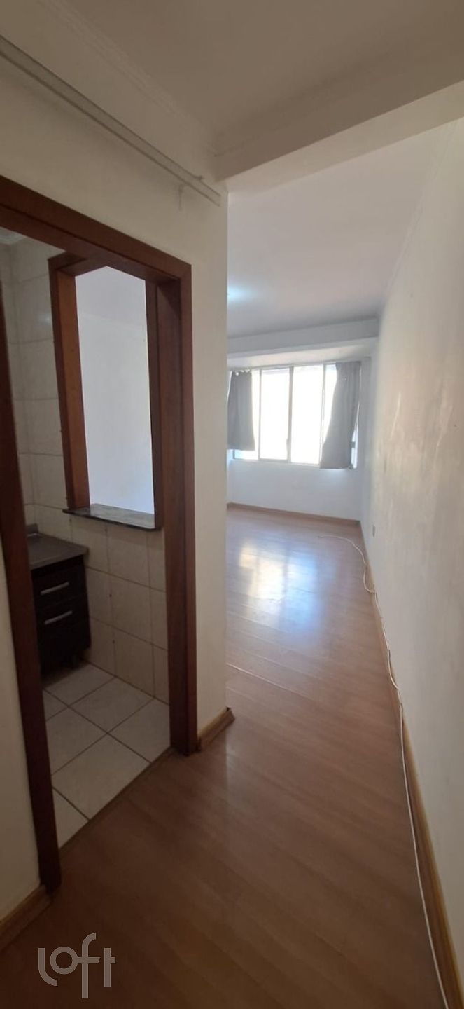 Imagem da propriedade 3