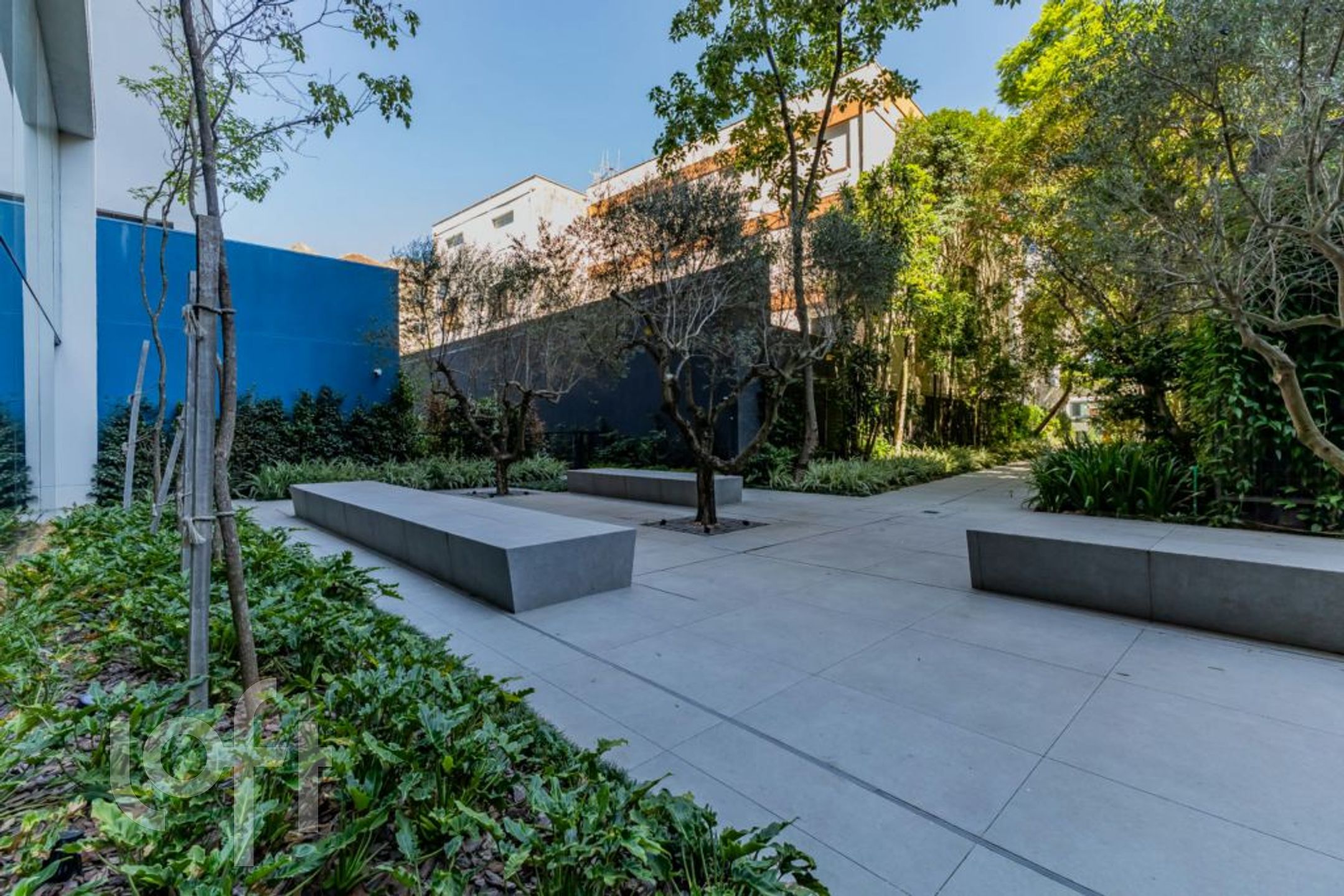 Imagem da propriedade 81