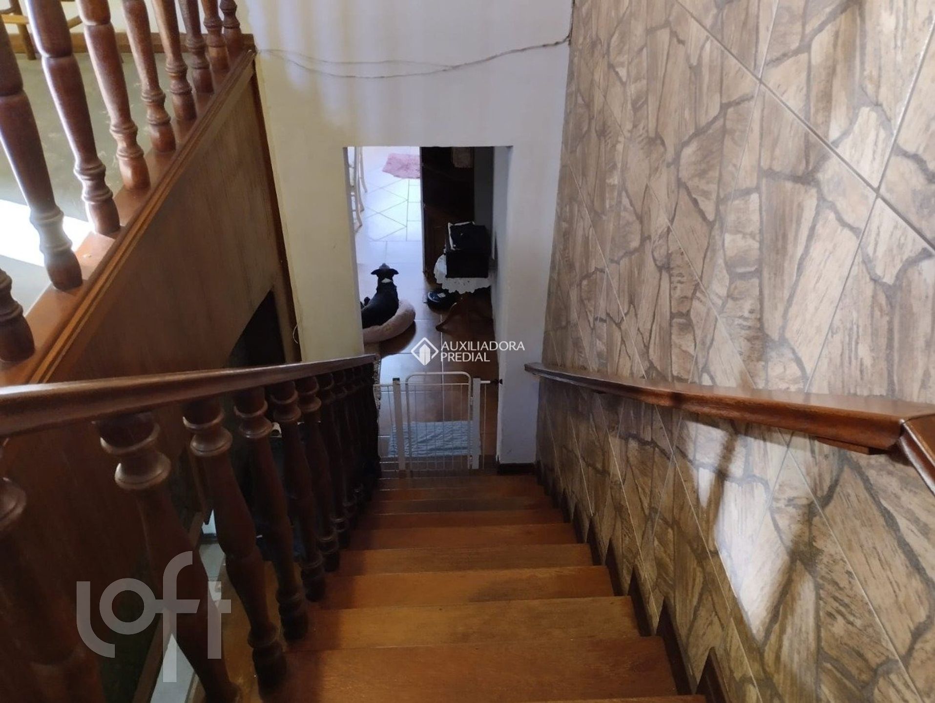 Imagem da propriedade 18