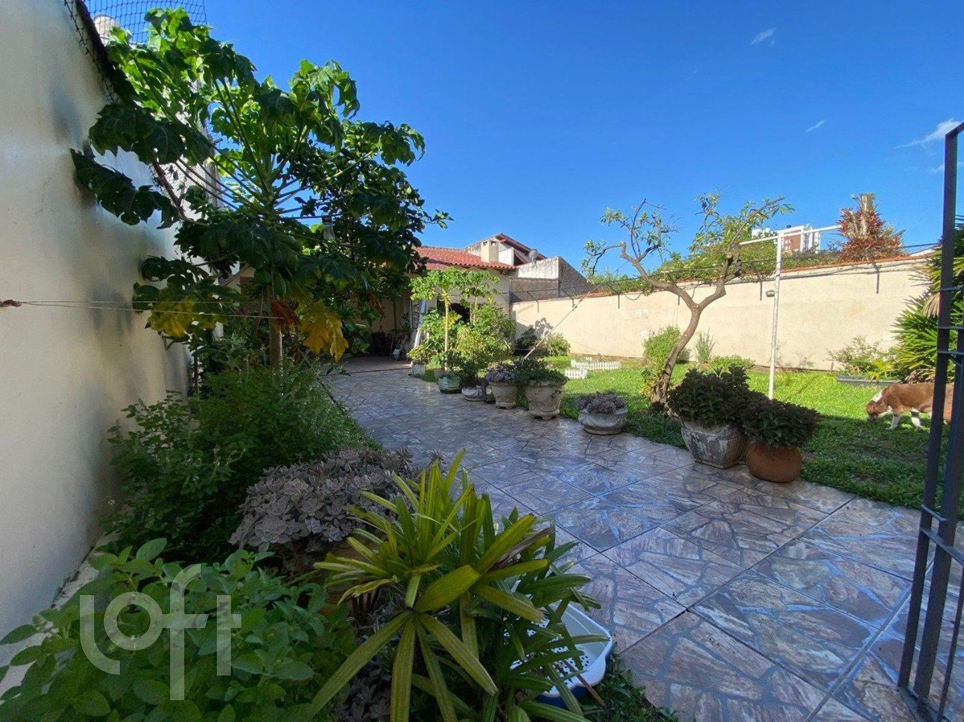 Imagem da propriedade 5