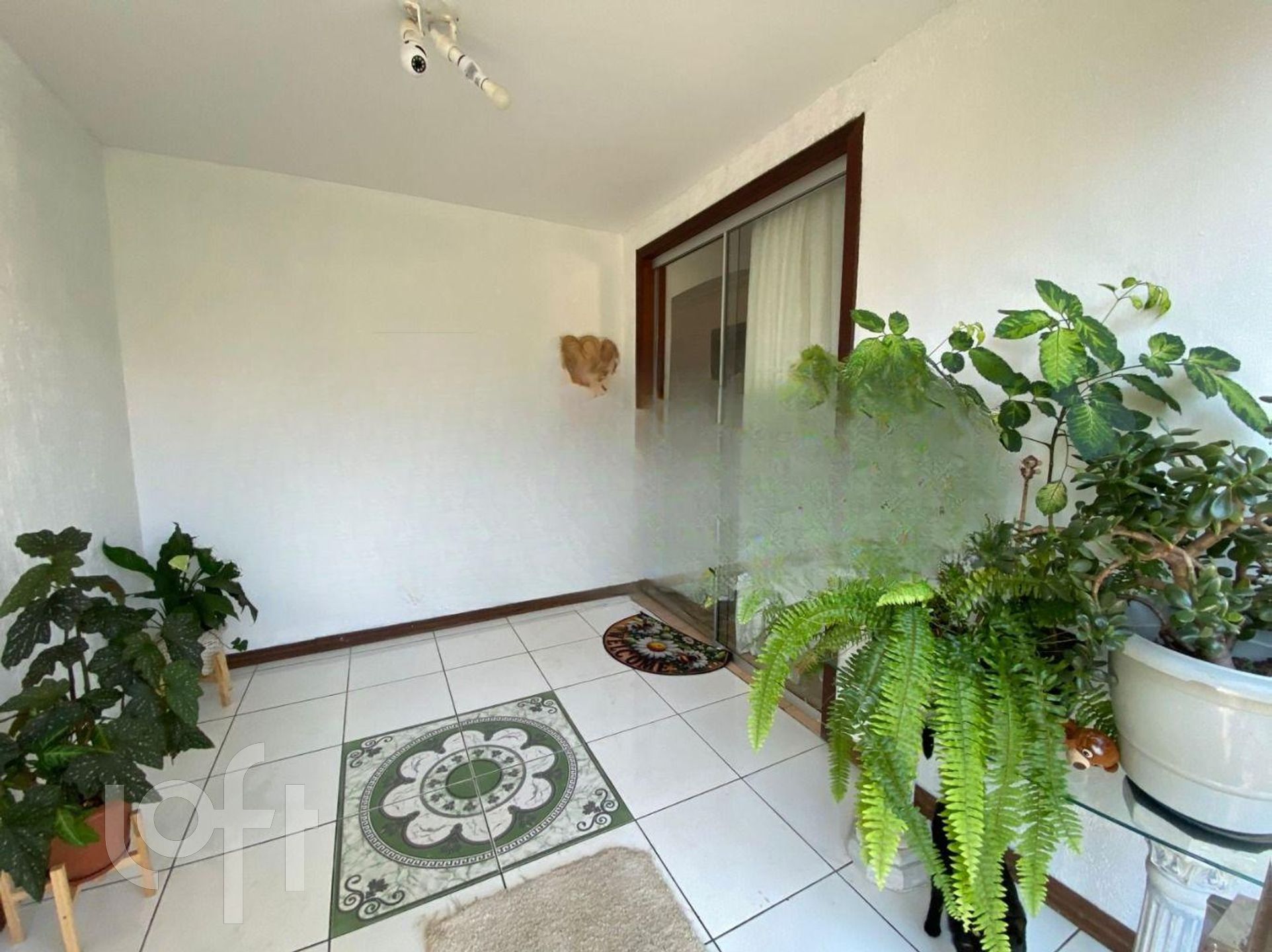 Imagem da propriedade 9