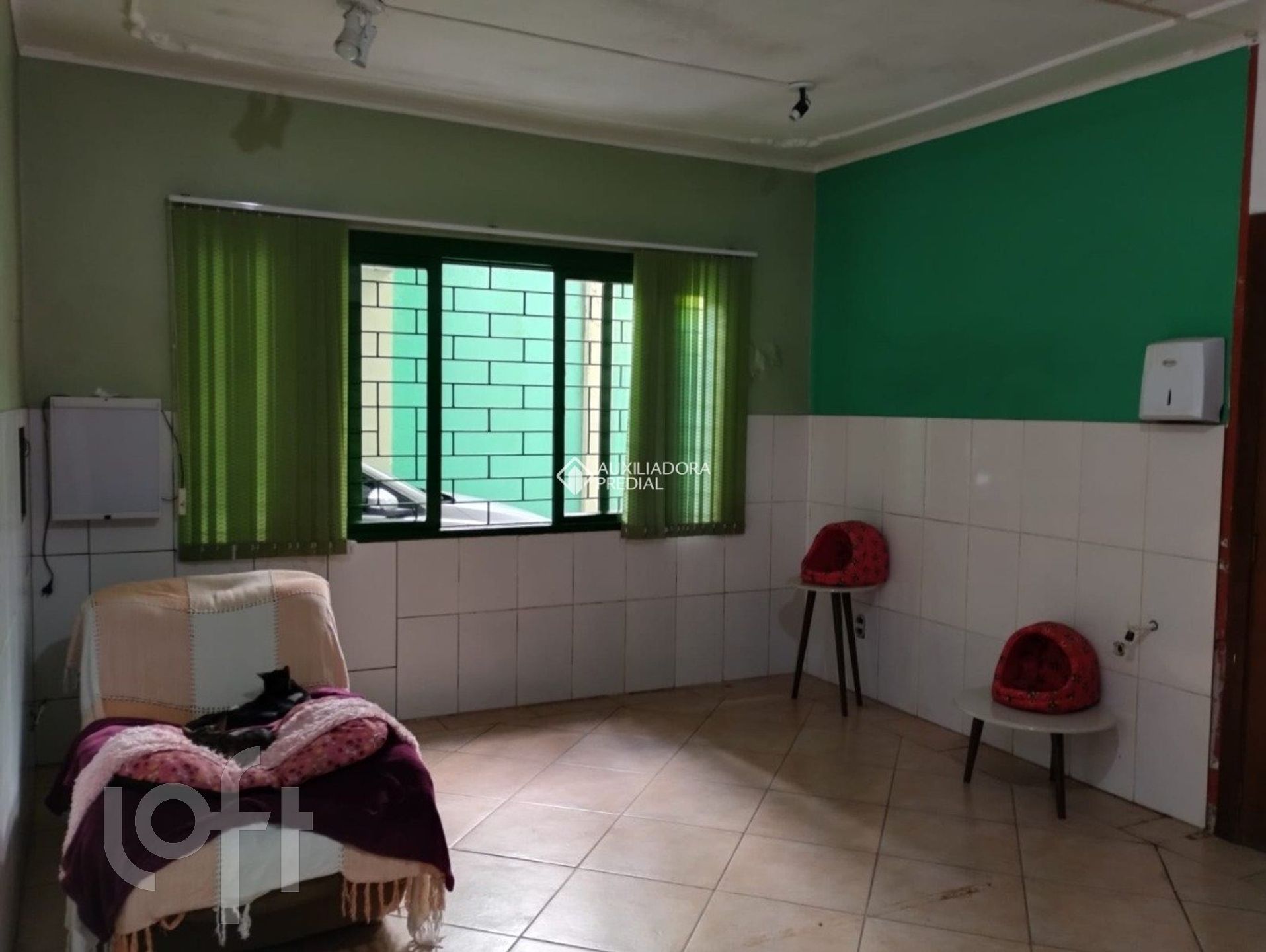 Imagem da propriedade 7