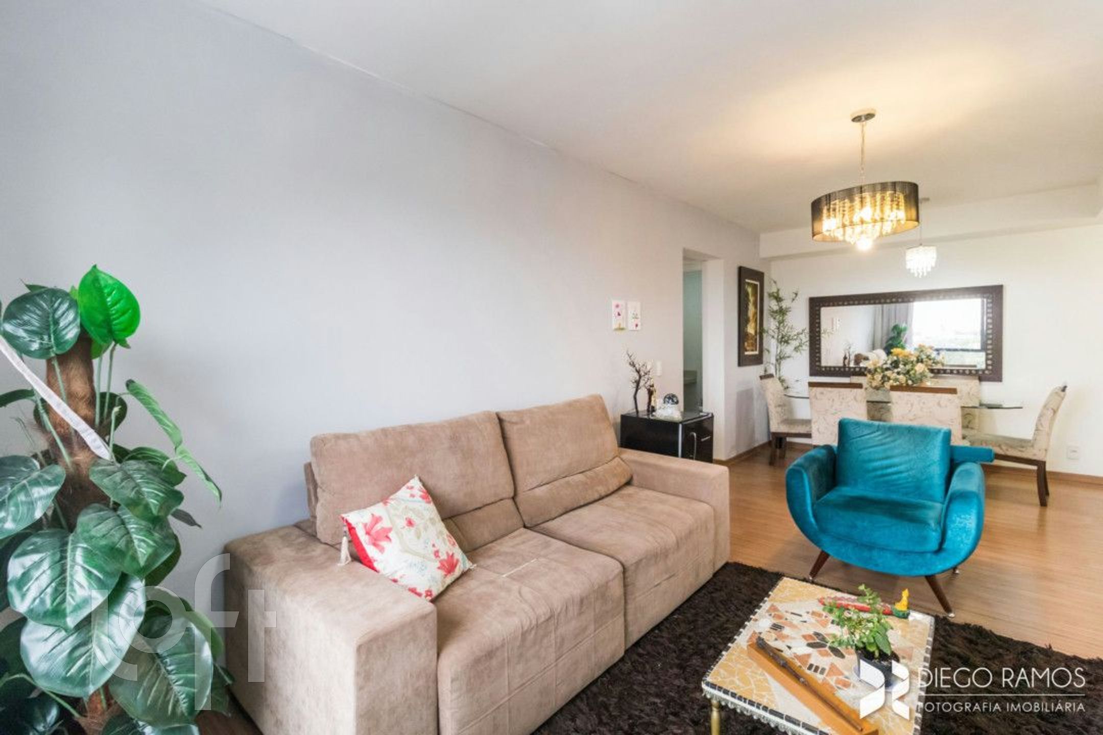 Imagem da propriedade 6