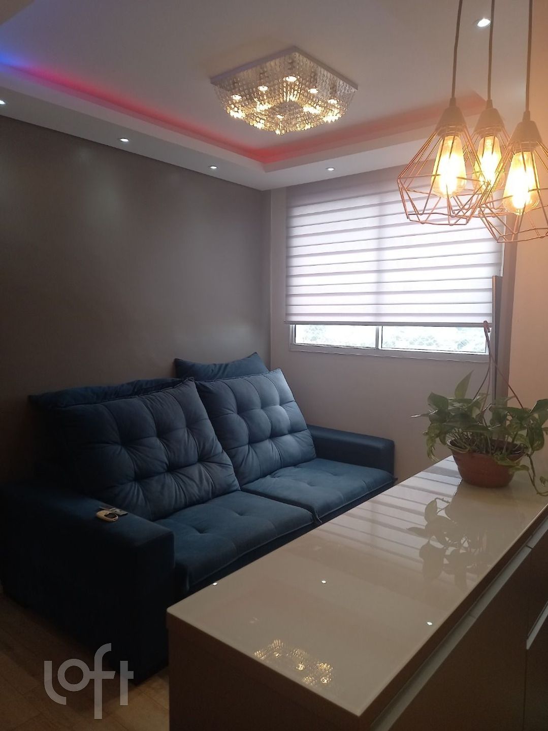 Imagem da propriedade 9