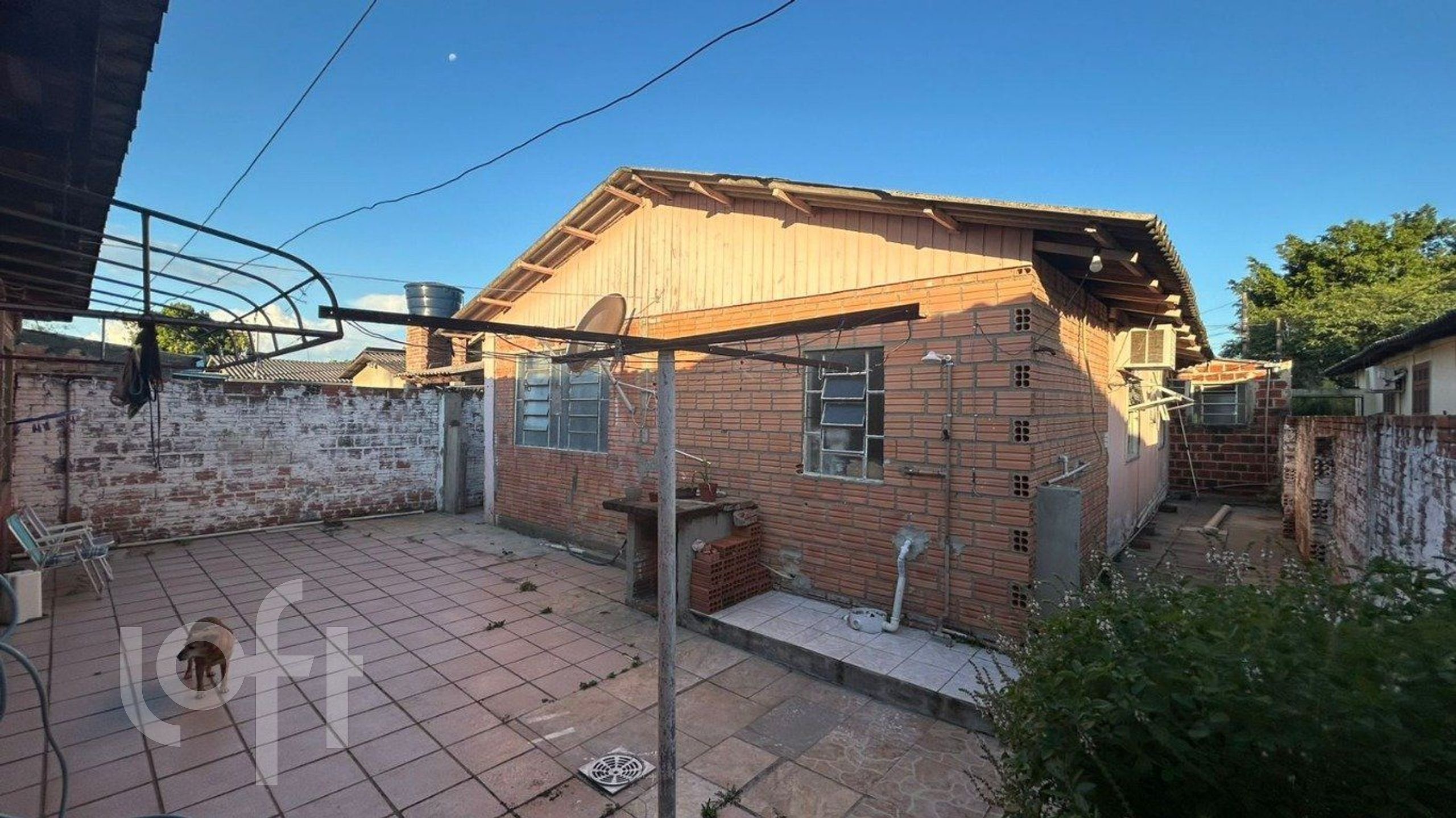 Imagem da propriedade 15