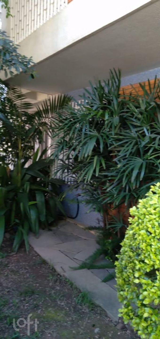 Imagem da propriedade 3