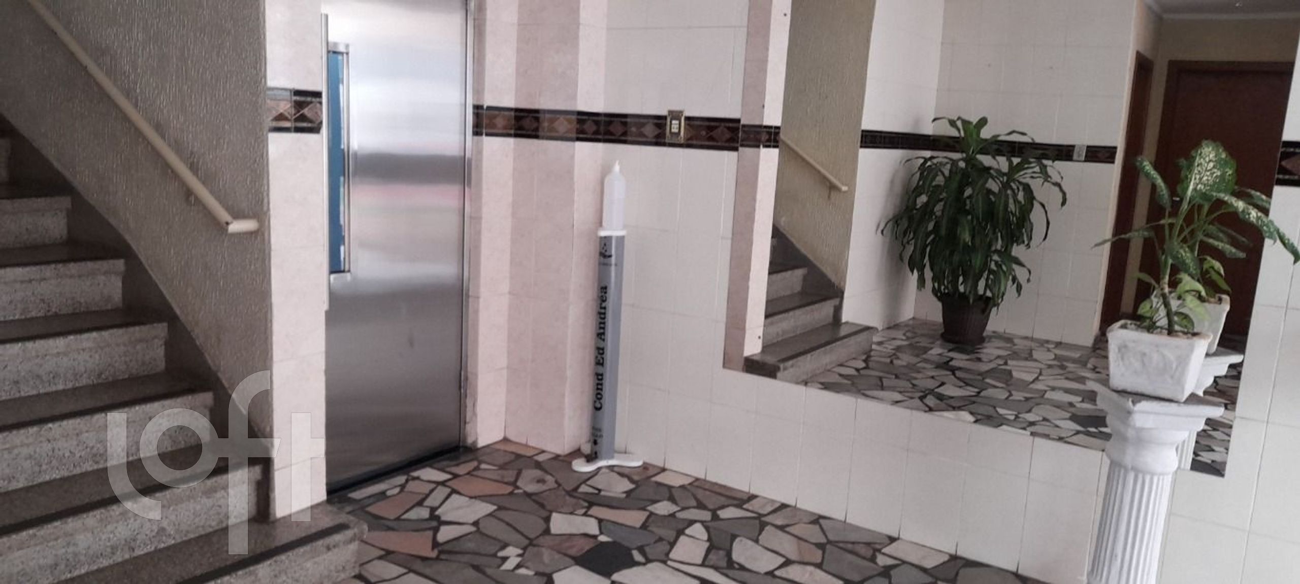 Imagem da propriedade 18