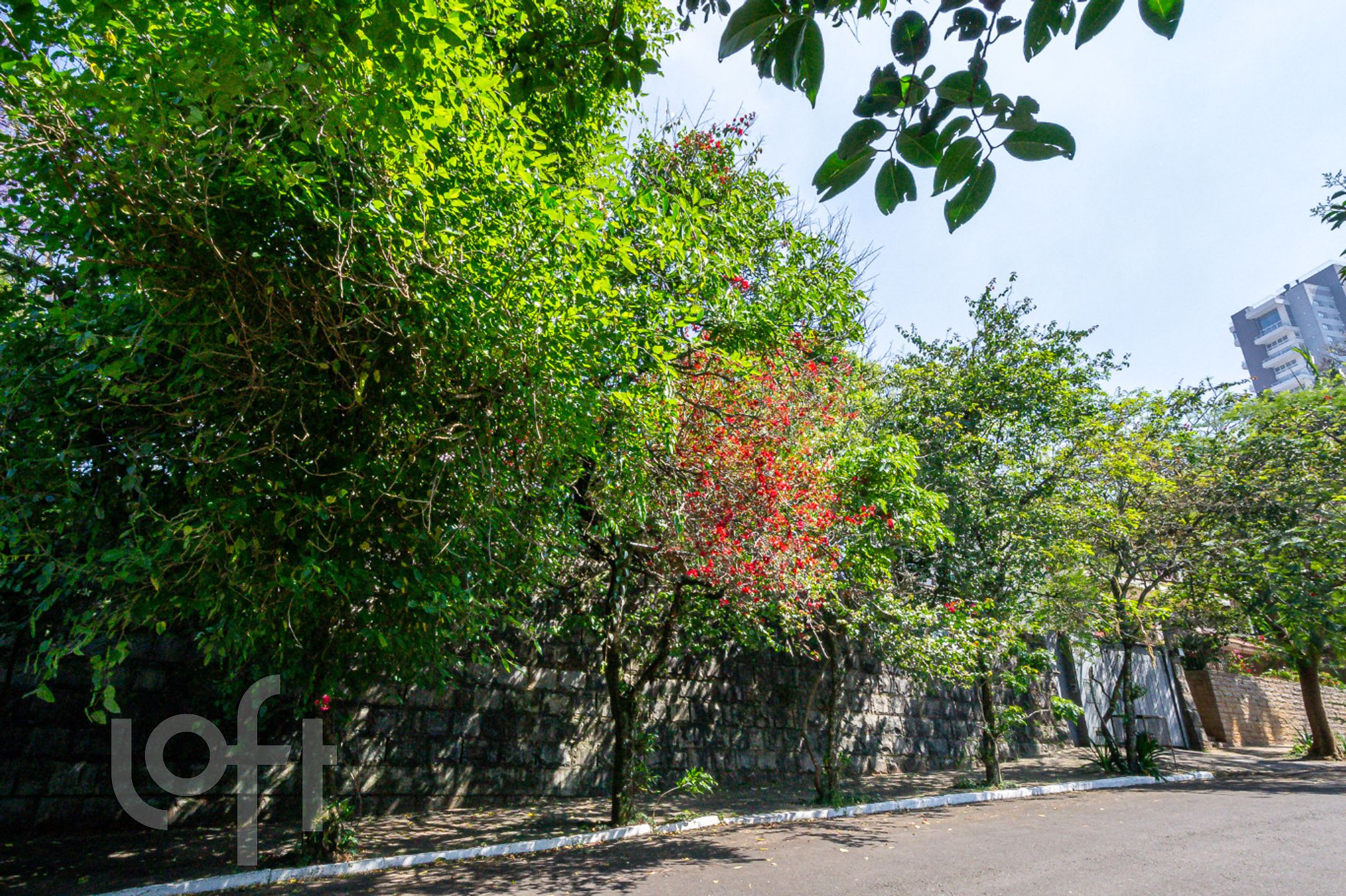 Imagem da propriedade 38