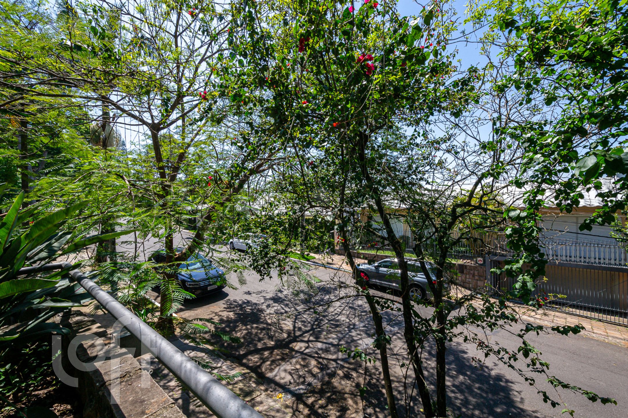 Imagem da propriedade 36