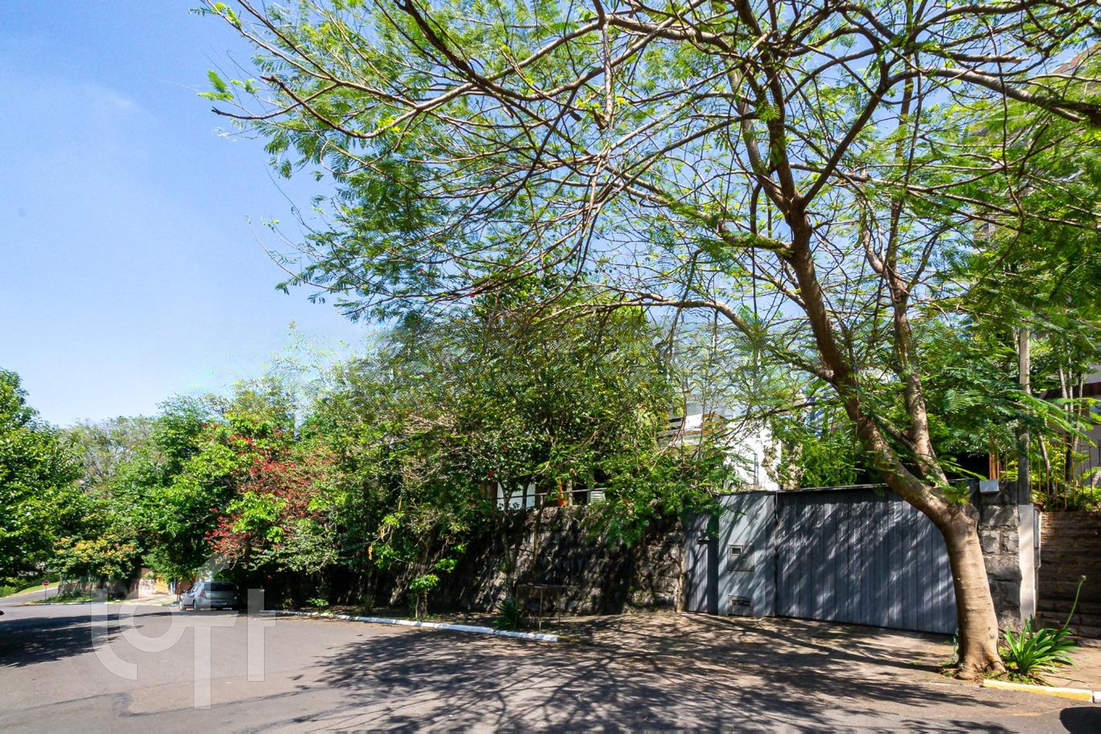 Imagem da propriedade 37