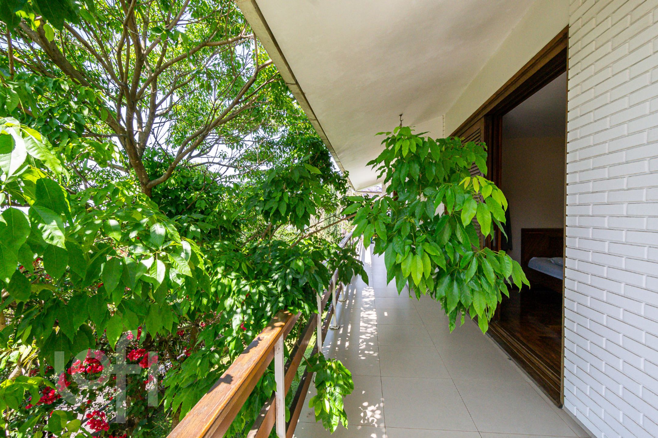 Imagem da propriedade 9