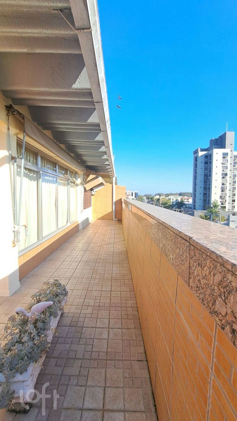 Imagem da propriedade 26