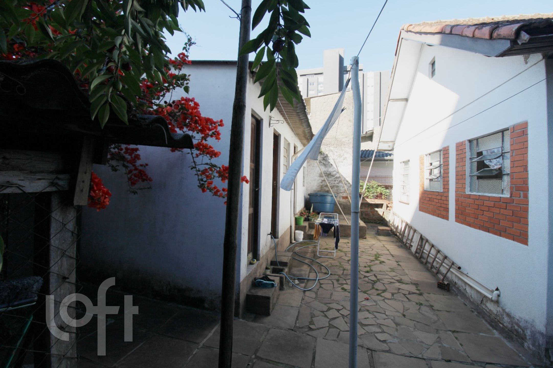 Imagem da propriedade 19