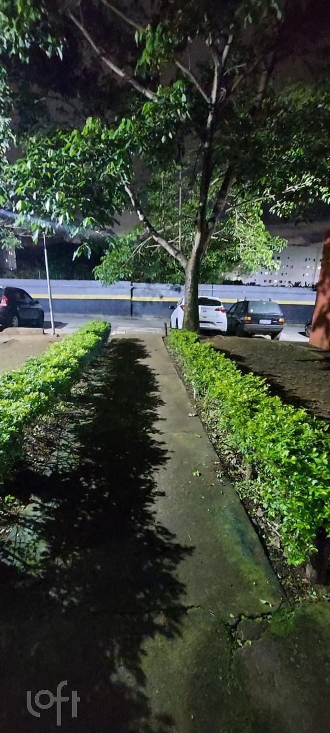 Imagem da propriedade 17