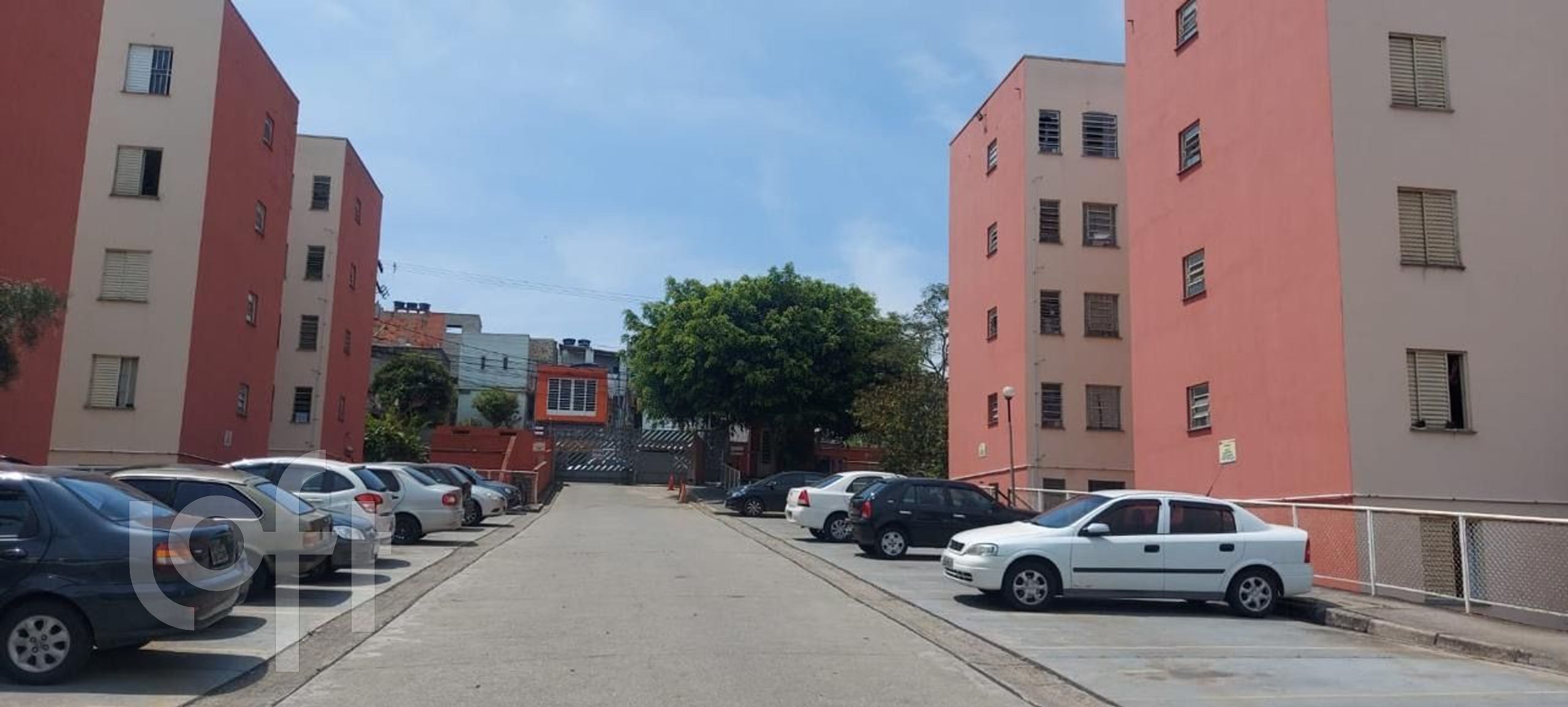 Imagem da propriedade 13