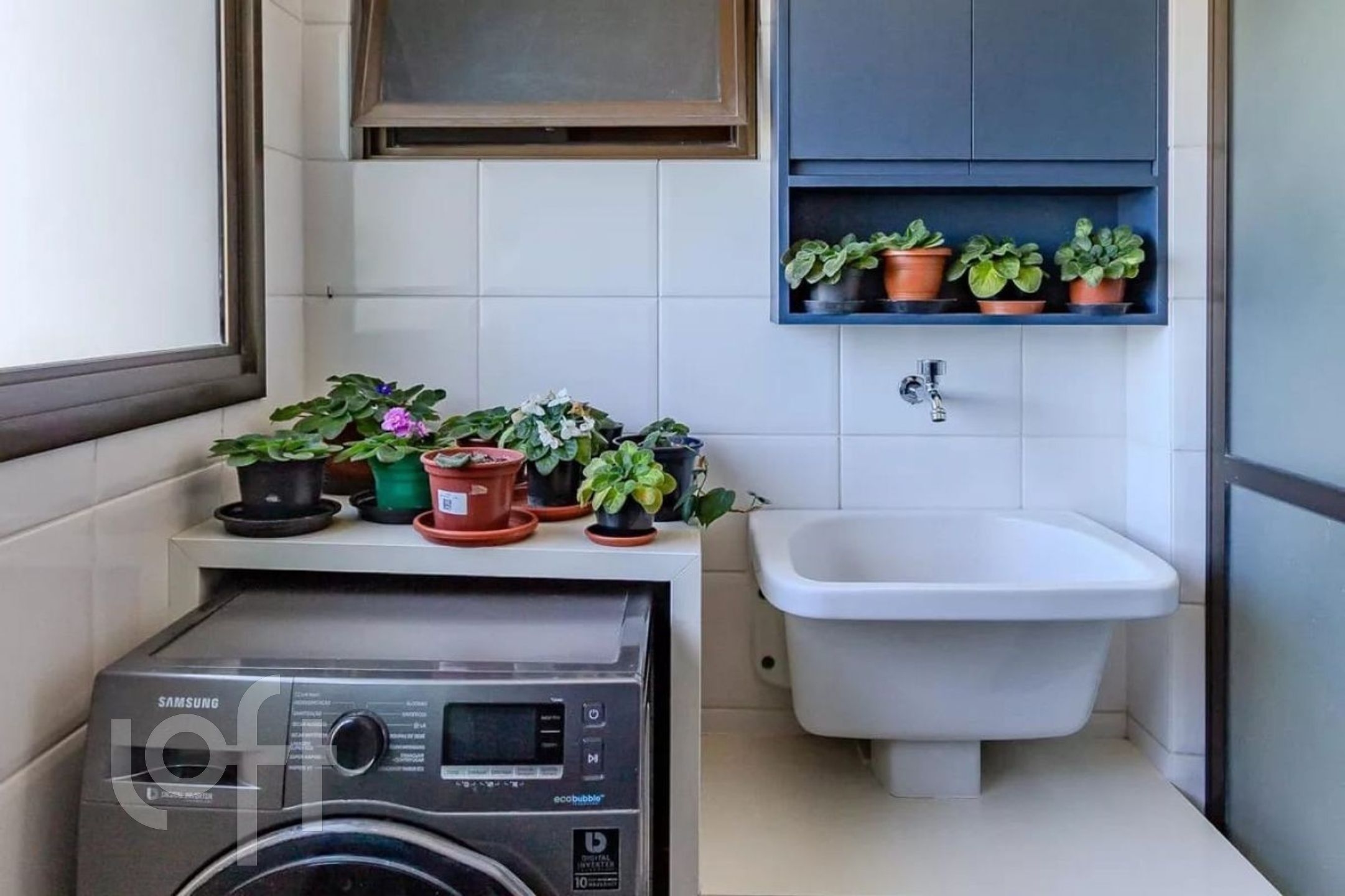 Imagem da propriedade 15