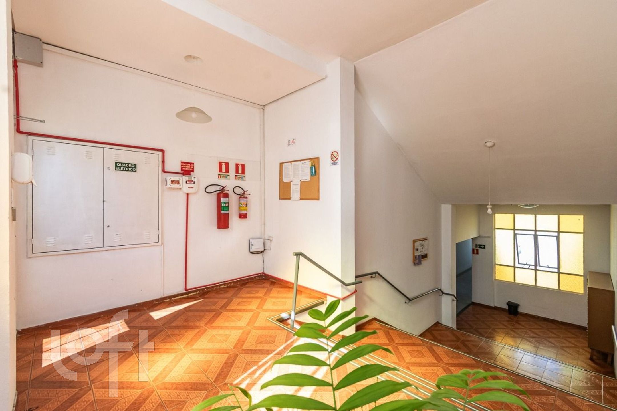 Imagem da propriedade 19