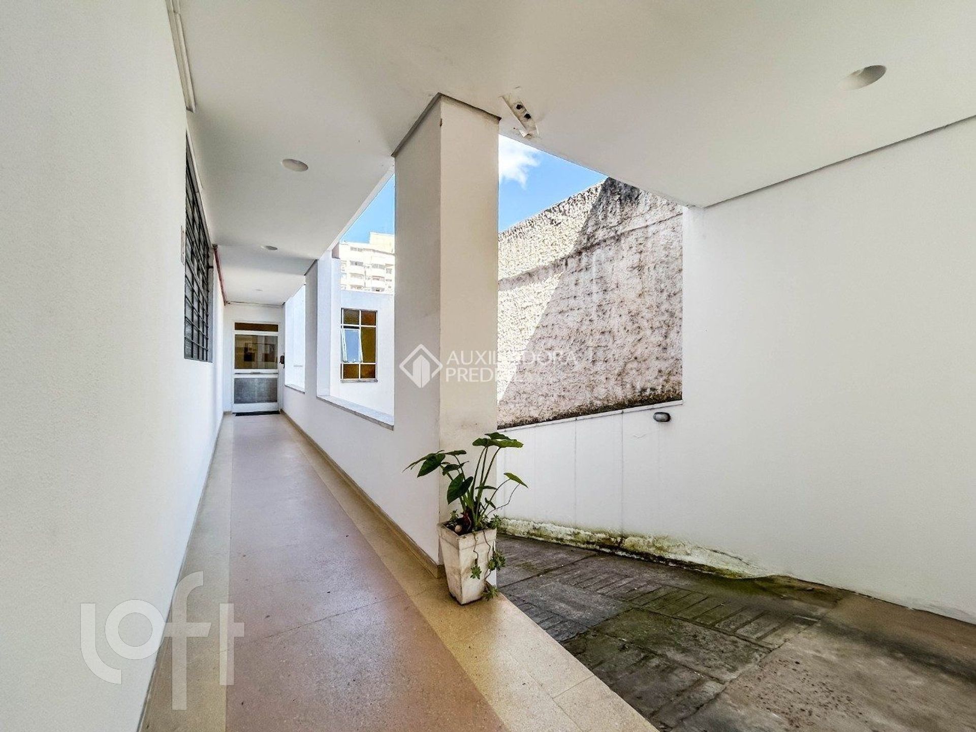 Imagem da propriedade 18