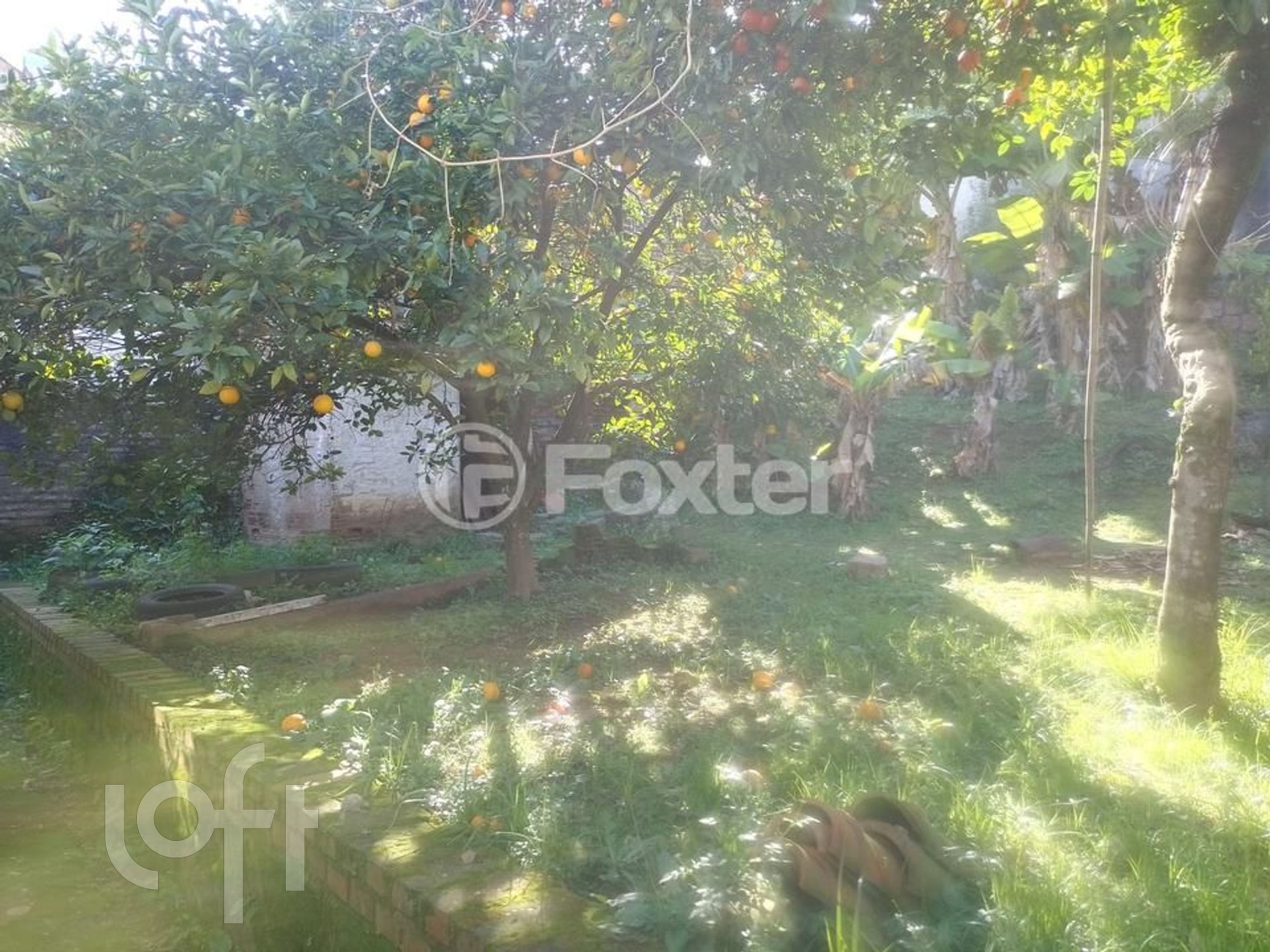 Imagem da propriedade 12