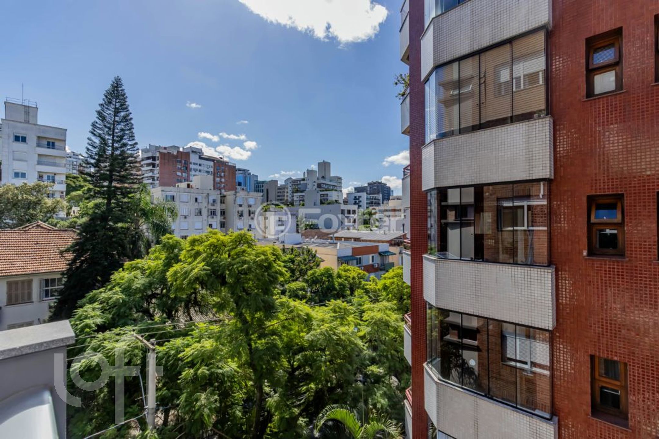 Imagem da propriedade 9