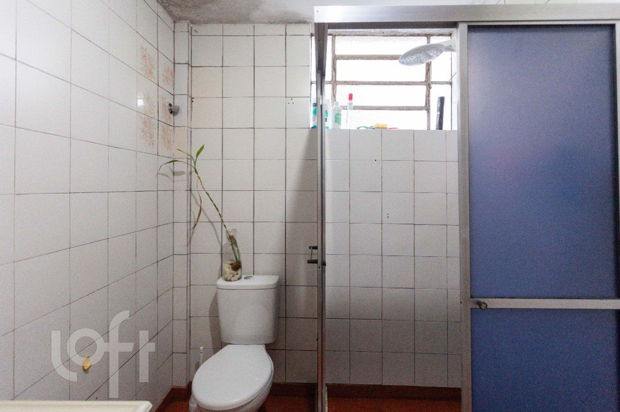 Imagem da propriedade 14