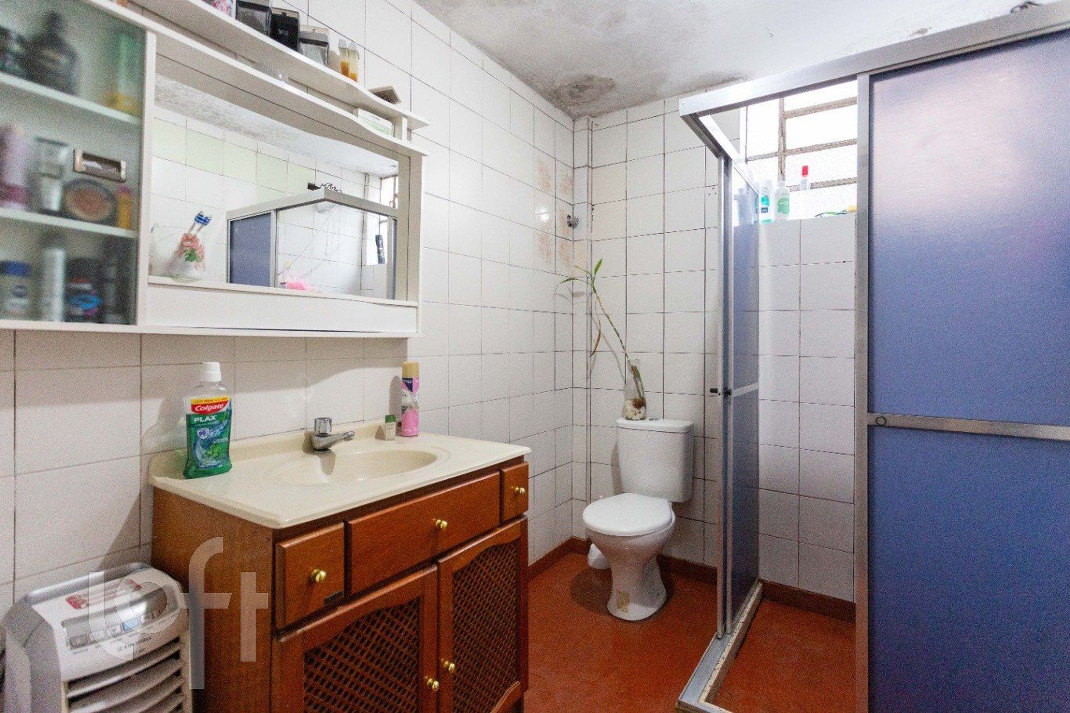 Imagem da propriedade 13