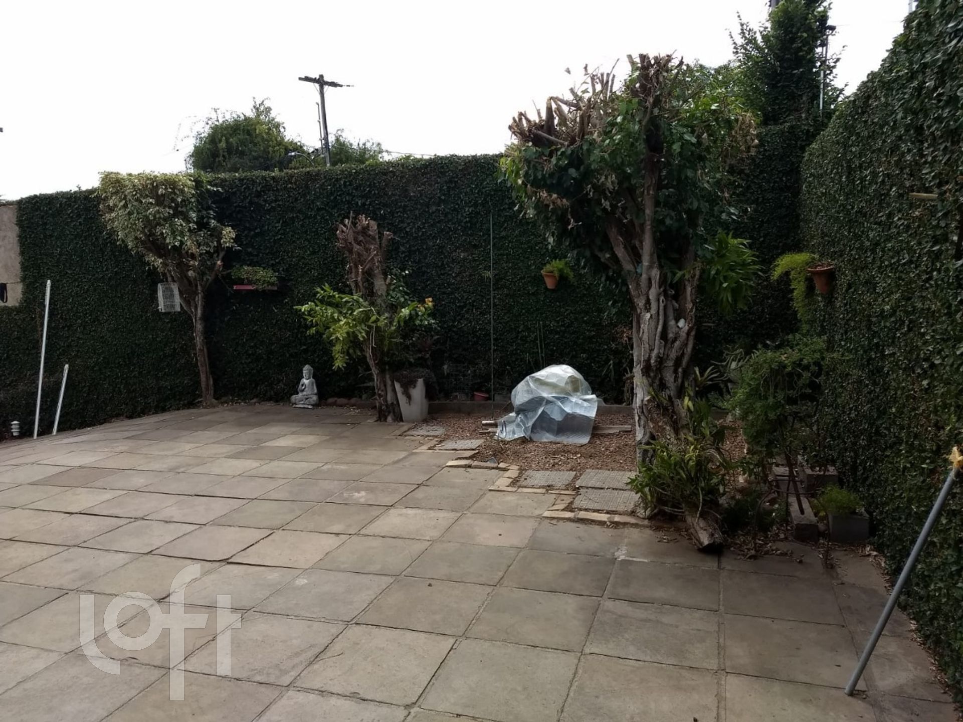 Imagem da propriedade 9