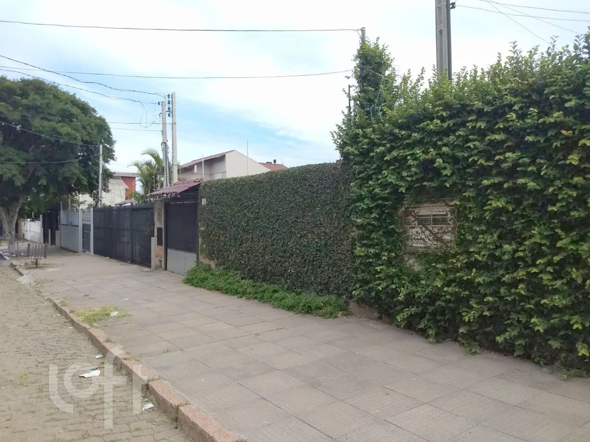 Imagem da propriedade 3