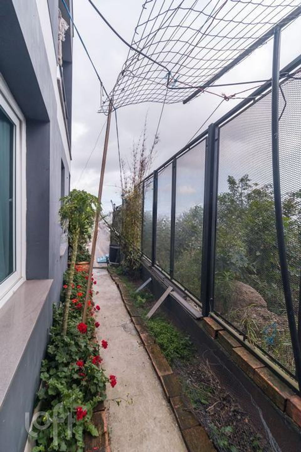 Imagem da propriedade 32