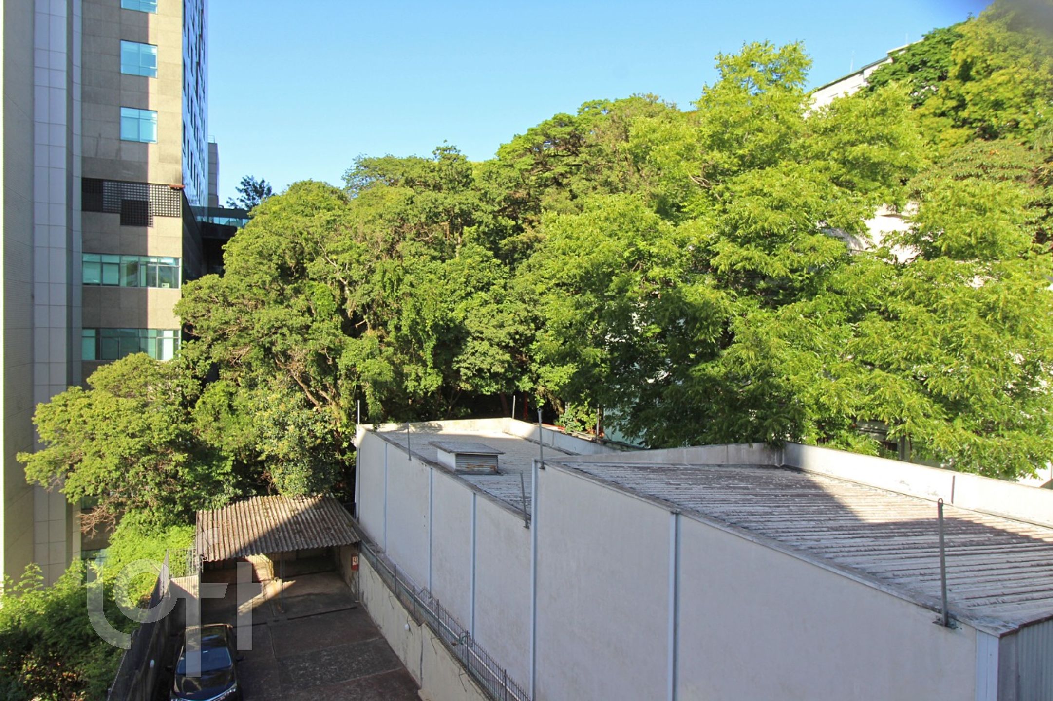 Imagem da propriedade 11