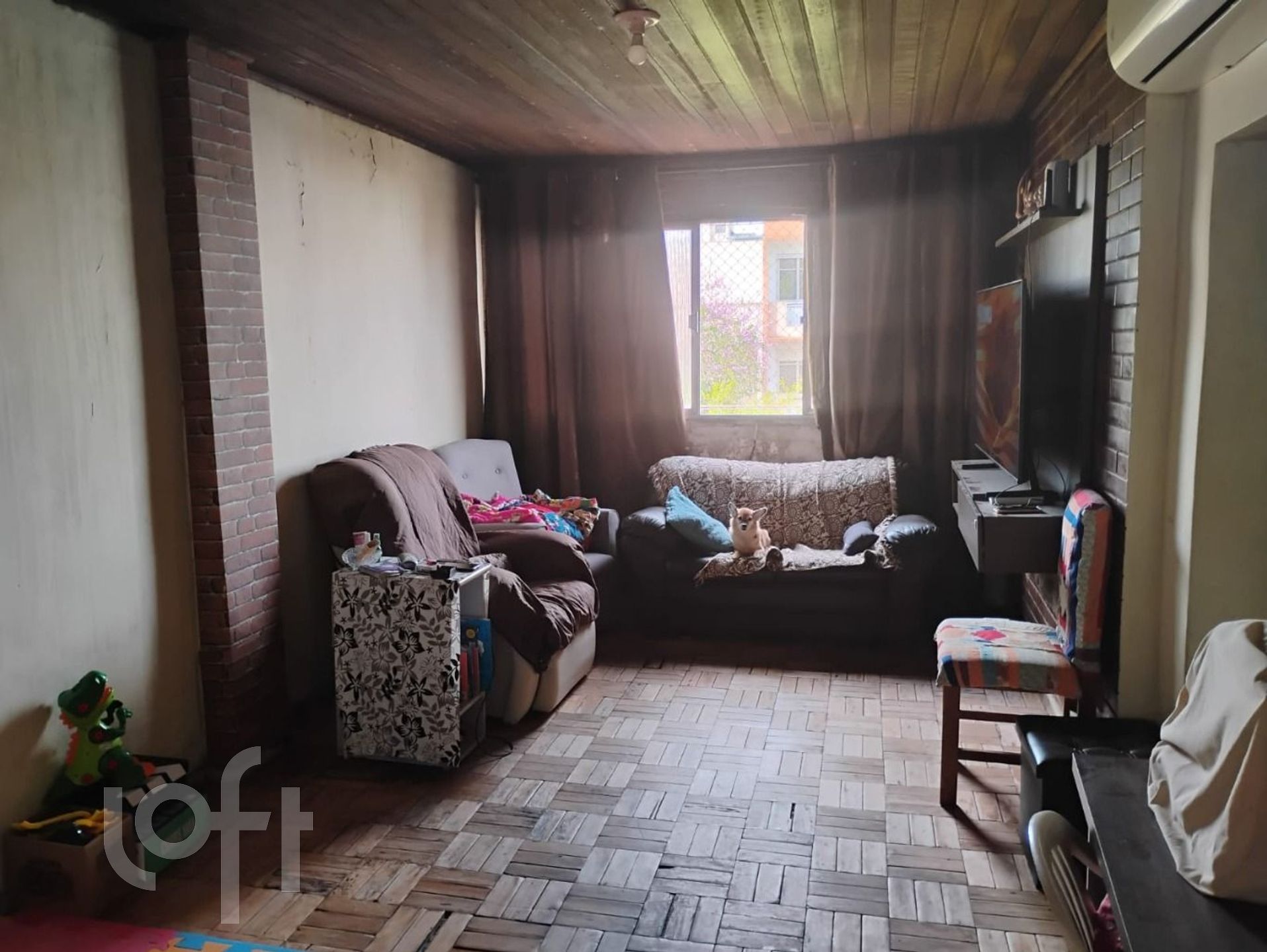 Imagem da propriedade 11