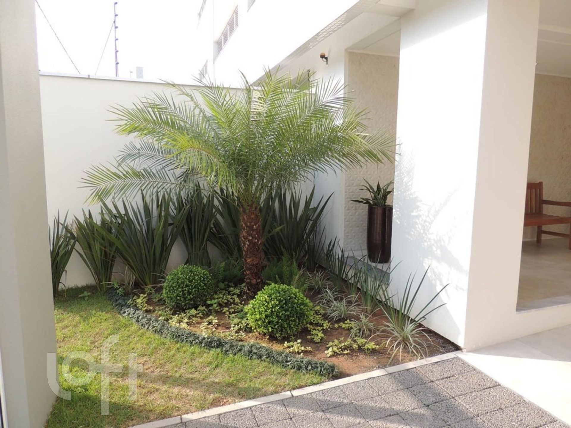 Imagem da propriedade 19