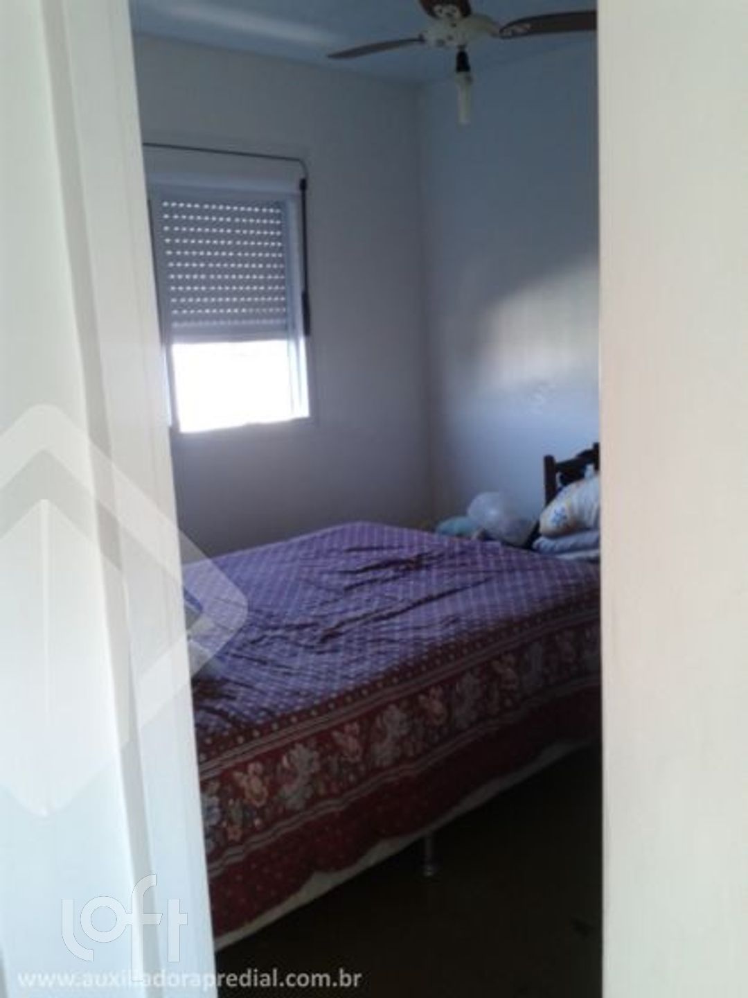 Imagem da propriedade 7