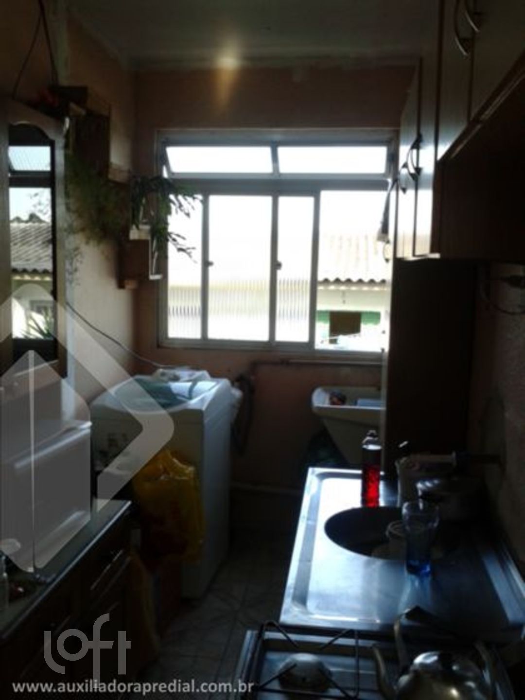 Imagem da propriedade 5